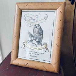 Owl 1